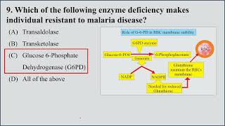 MCQs on Hexose Monophosphate Shunt HMP shunt  Pentose Phosphate Pathway I 15 MCQs for Practice [upl. by Fidel]