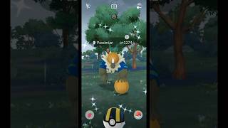 Getting Lucky With✨Shiny Passimian In pokemongo [upl. by Nepets]