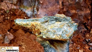 Rich Gold Bearing Vein Found In Roadside Outcrop [upl. by Abana]