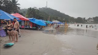 Turistas lotam a praia do Tenório em Ubatuba SP nesse sábado 091223 [upl. by Elmina607]