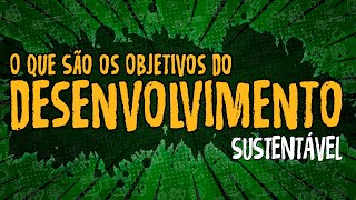 O Que São os Objetivos do Desenvolvimento Sustentável [upl. by Elsy660]