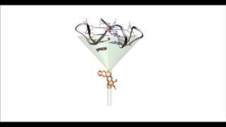 Berberine binding to telomeric Gquadruplex DNA [upl. by Crean268]