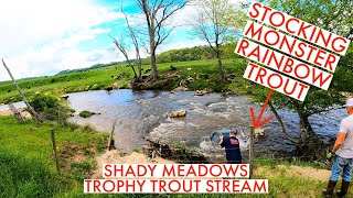 Stocking GIANT RAINBOW TROUT  Shady Meadows Trophy Trout Stream on Crooked Creek in Virginia [upl. by Ylrebnik394]