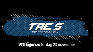 Speltips V75 Jägersro 23 november [upl. by Llevol503]