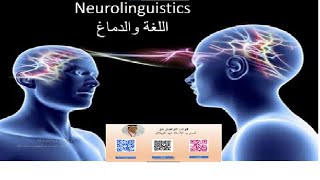 Neurolinguistics اللغة والدماغ [upl. by Jews]