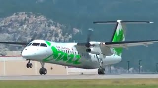 Smooth De Havilland Canada DHC8300 Dash 8 Landing [upl. by Annelise]