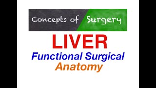 Liver  Functional Surgical Anatomy [upl. by Welsh]