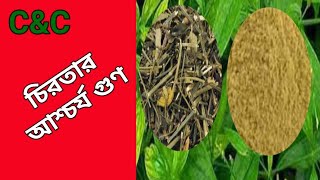 চিরতার উপকারিতা। Health Benefits of Chirata। চিরতার পানি। Best Health Tips। Care amp Cure wirh Samir [upl. by Larisa]