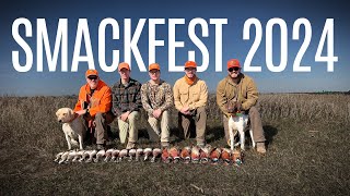 Smackfest 2024  Iowa Pheasant and Wood Duck Slam [upl. by Neural164]