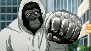 One Punch Gorilla [upl. by Eniamej]