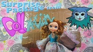 Unboxing  Surprise Package from Doll Motion [upl. by Ahsietal]