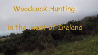 WOODCOCK HUNTING IN COMAYO IRELAND [upl. by Eerac]