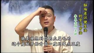 腦場意識健生法的學習方法 ——李杲老師 主講 美容效果與解決失眠問題2013及14年 [upl. by Rennoc]