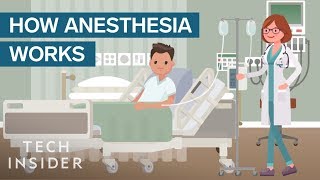 How Anesthesia Affects Your Brain And Body [upl. by Rambort928]