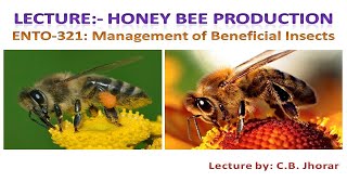 ENTO 321 Lecture 1 Honey Bee Production II मधुमक्खी उत्पादन [upl. by Kala]