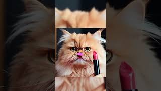 twice kpop blackpink itzy trend tiktok cat shorts makeup youtubeshorts foryou cuteanimal [upl. by Pepito]