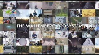 Wallenberg Ecosystem [upl. by Christiano]