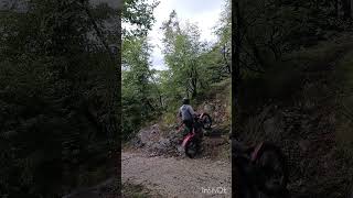 Montesa 260 remapped vertical rock training crn [upl. by Foskett267]