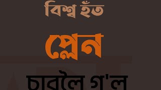 বিশ্ব হঁত প্লেন চাবলৈ গল Assamese cartoon story funny comedy full video 📷📸 [upl. by Kerstin]