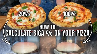 In Depth Understanding Biga  For Pizza Dough [upl. by Arimaj896]