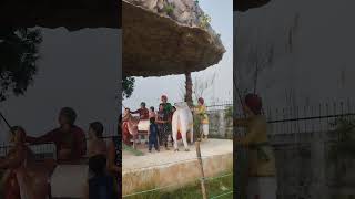 Ghanshyam Teri Bansi Pagal Kar Jaati Hai [upl. by Adrell]