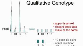 DNA Identification for Lawyers CLE Mixture Interpretation [upl. by Lounge]