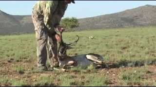 Big Spot amp Stalk Archery PronghornAntelope [upl. by Boote]