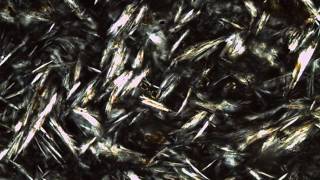 Trachyte Obsidian Thin Section [upl. by Marcille658]