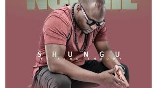 Ngonie WeRudo Kambarami Shungu ft King Shaddy Official Audio [upl. by Haldis]