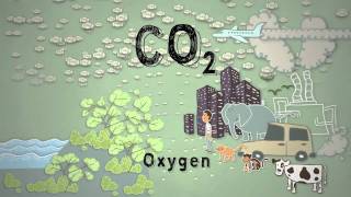 Climate Science in a Nutshell 4 Too Much Carbon Dioxide [upl. by Rimaa758]