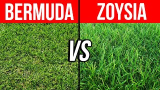 Bermuda vs Zoysia  Pros Cons and Tips to Help You Choose the Best Grass for Your Lawn [upl. by Haidabej151]