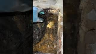 Unclogging Drains with a Plumbers Helper The Ultimate Guide [upl. by Onibas]