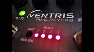 Source Audio Ventris Reverb  Great Presets [upl. by Aissatan947]