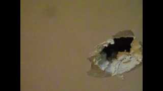 Plastering Repairing a Small Hole in Plasterboard [upl. by Ricca97]