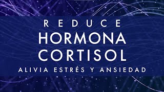 Respiración guiada para eliminar el estrés y la ansiedad  Respiración cuadrada 4 4 4 4 [upl. by Eicaj]