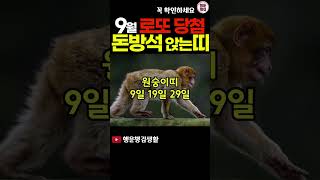 9월 로또당첨 횡재수 들어오는 띠와 길일 [upl. by Slater]