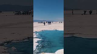 Salinas Grandes ➡️ Acuíferos de agua dulce le dan vida 💛 [upl. by Sucram]