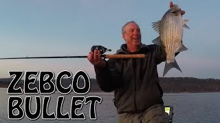 Hybrid bass caught on a ZEBCO Bullet that slams a topwater lure [upl. by Annek]