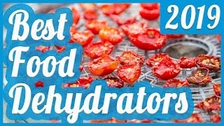 Best Food Dehydrator To Buy In 2019 [upl. by Akirahc]