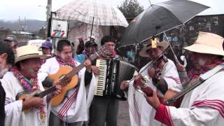 CARNAVAL PAUCINO 2014 [upl. by Hartnett]