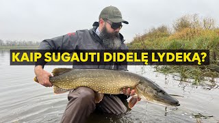 Kaip Sugauti DIDELĘ Lydeką Museline 117cm lydeka  FlyToTie [upl. by Jackelyn]