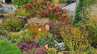 Late October Garden Tour Saving Canna and Elephant Ears to Overwinter Zone 5a [upl. by Bayer]