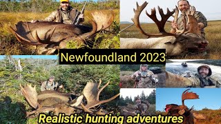 Moose and BampC Woodland caribou hunt in Newfoundland With Realistic Hunting Adventures [upl. by Aisatnaf]