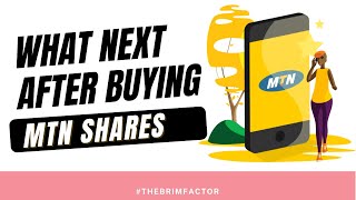 How To Keep Track Of Your MTN SHARES [upl. by Yenahs]