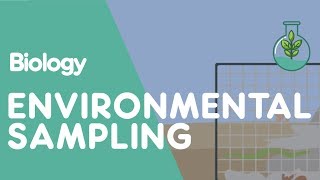 What Is Environmental Sampling  Ecology amp Environment  Biology  FuseSchool [upl. by Kristofer749]