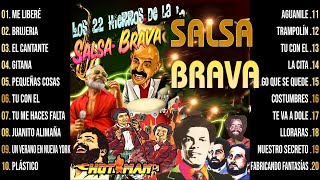 Los 22 Hierros De La Salsa Brava Vieja Hotman 👑 Mix Salsa Brava Para Bailar 👑 Salsa Dura De Oro [upl. by Bruns719]