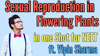 Sexual Reproduction in Flowering Plants in One Shot for NEET ft Vipin Sharma  NCERT Biology Class [upl. by Louth]