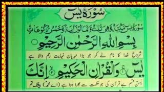 Surah YaseenYaSin With Urdu Translation Surah Yasin With Urdu Tarjama سورہ یسینEp606 [upl. by Torrence]