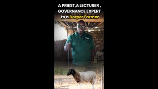 Dorper Farming Episode 1 KenBoer Farm farmlife dorper livestock [upl. by Trina536]