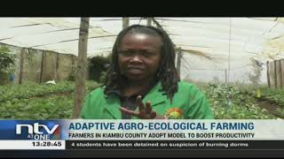 Agroecological farming Kiambu farmers adopt model to boost productivity [upl. by Riancho]